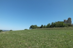 81_Montsalvy_2011_048