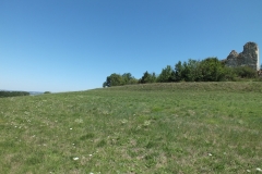 81_Montsalvy_2011_049