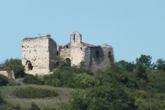 DSCF8274