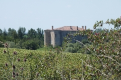 81_Roquevidal