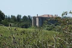 81_Roquevidal_2011_002