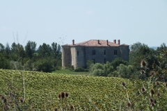 81_Roquevidal_2011_003