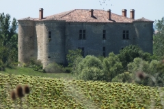 81_Roquevidal_2011_004