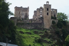 Laguepie_2011_002