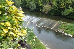 Laguepie_2011_009