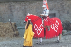 85_PuyDuFou_2012_004