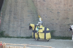 85_PuyDuFou_2012_005