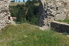 85_Tiffauges_2012_012