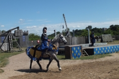 85_Tiffauges_2012_018