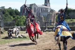 85_Tiffauges_2012_020