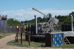 85_Tiffauges_2012_021