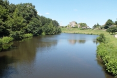 85_Tiffauges_2012_024