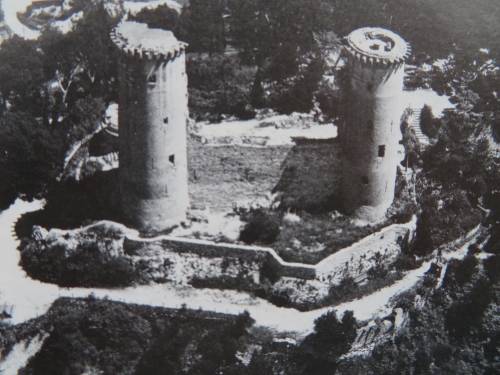 Chateaurenard photo du château d'après les sources