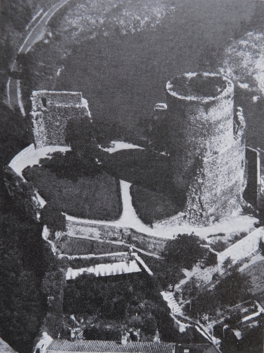 Photo du château de Saint Maurice sur Loire d'après les sources